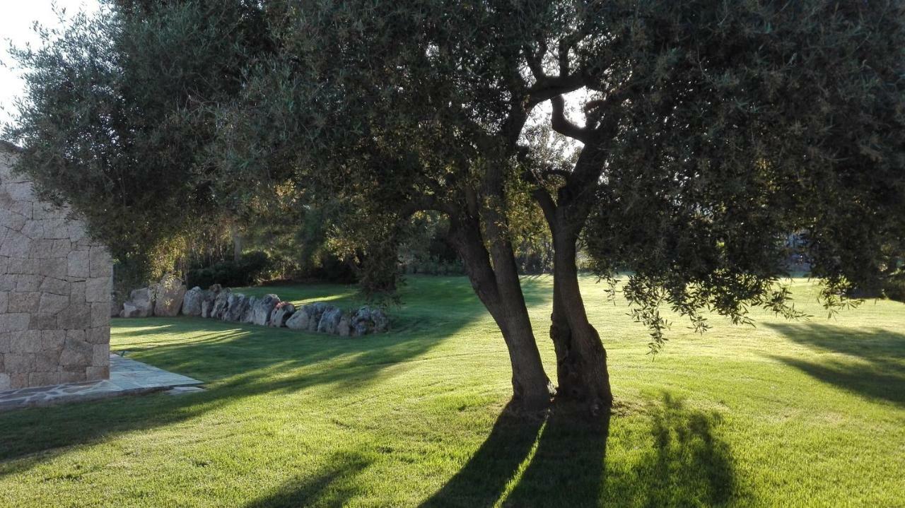 B&B Majore Olbia Bagian luar foto