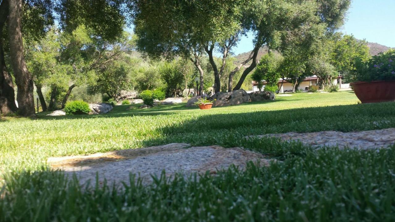 B&B Majore Olbia Bagian luar foto