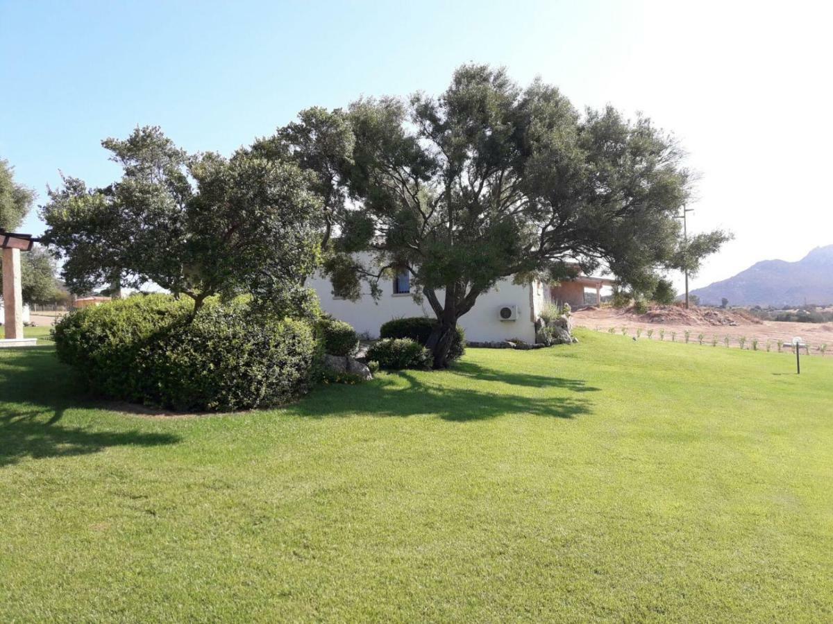B&B Majore Olbia Bagian luar foto
