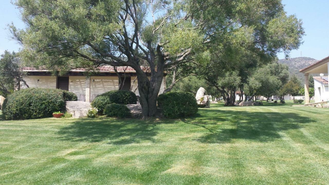 B&B Majore Olbia Bagian luar foto
