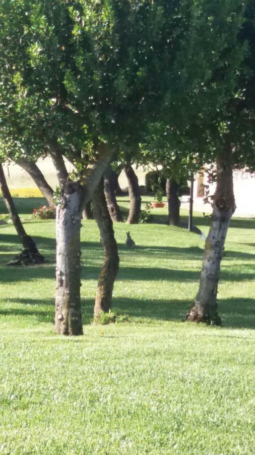 B&B Majore Olbia Bagian luar foto
