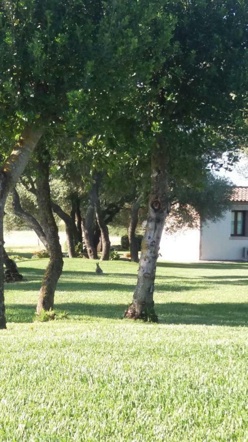 B&B Majore Olbia Bagian luar foto
