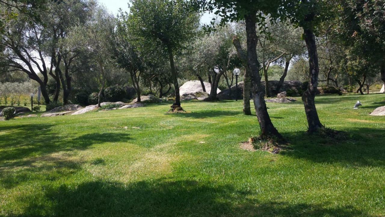 B&B Majore Olbia Bagian luar foto