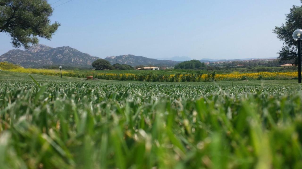 B&B Majore Olbia Bagian luar foto